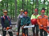 Kettensaegenausbildung_2011 (27)