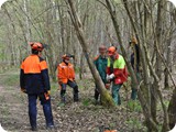 Kettensaegenausbildung_2011 (3)